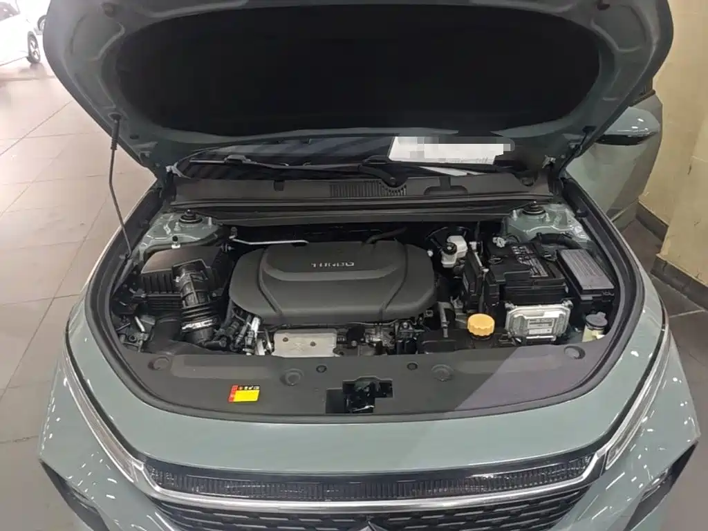 Baojun Valli 2022 2021 1.5T Dali Sky CVT Premium