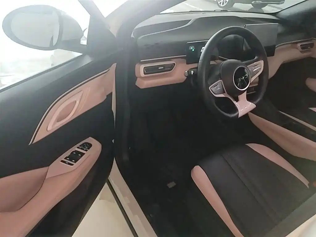 BYD Seagull 2025 Smart Drive Edition 305km Vitality Version фото 16