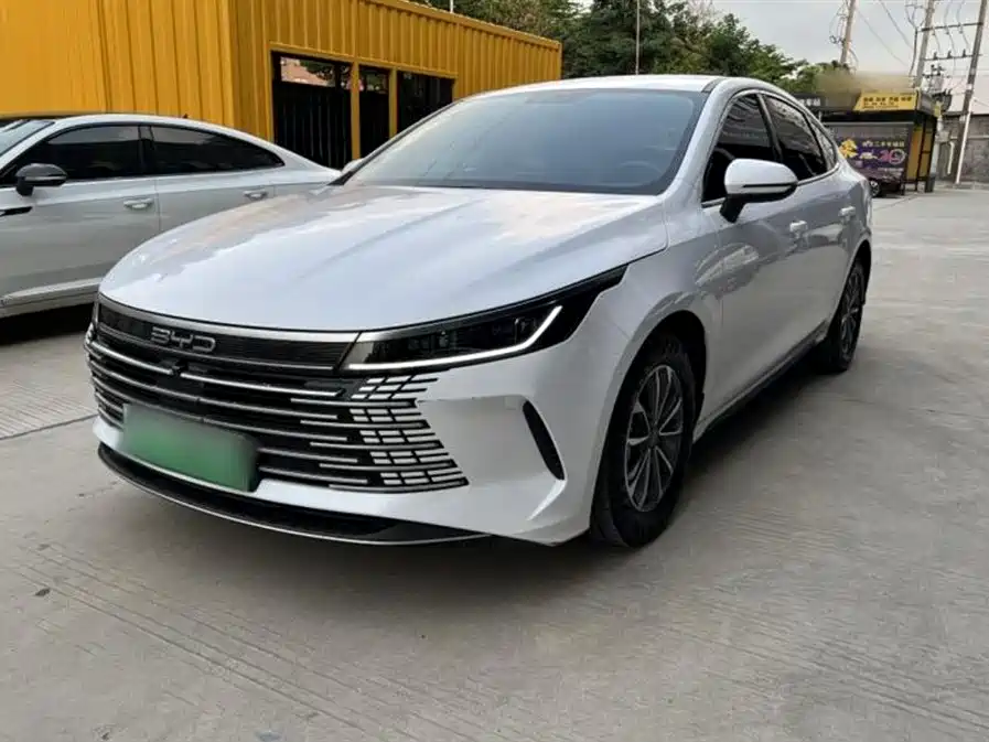 BYD Destroyer 05 2024 Glory Edition DM-i 55KM Luxury фото 2