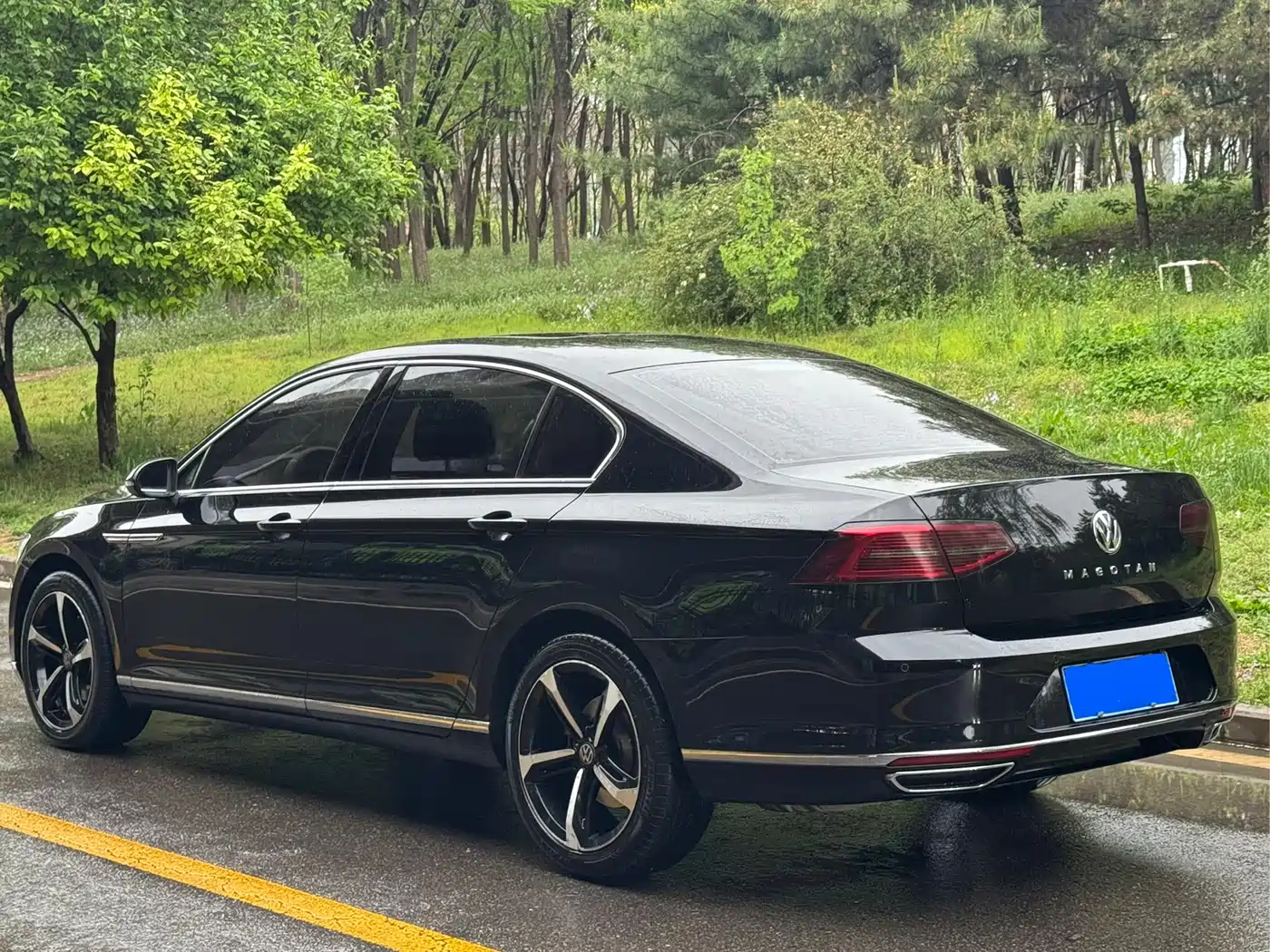 Volkswagen Magotan 2017 330TSI DSG Luxury фото 3
