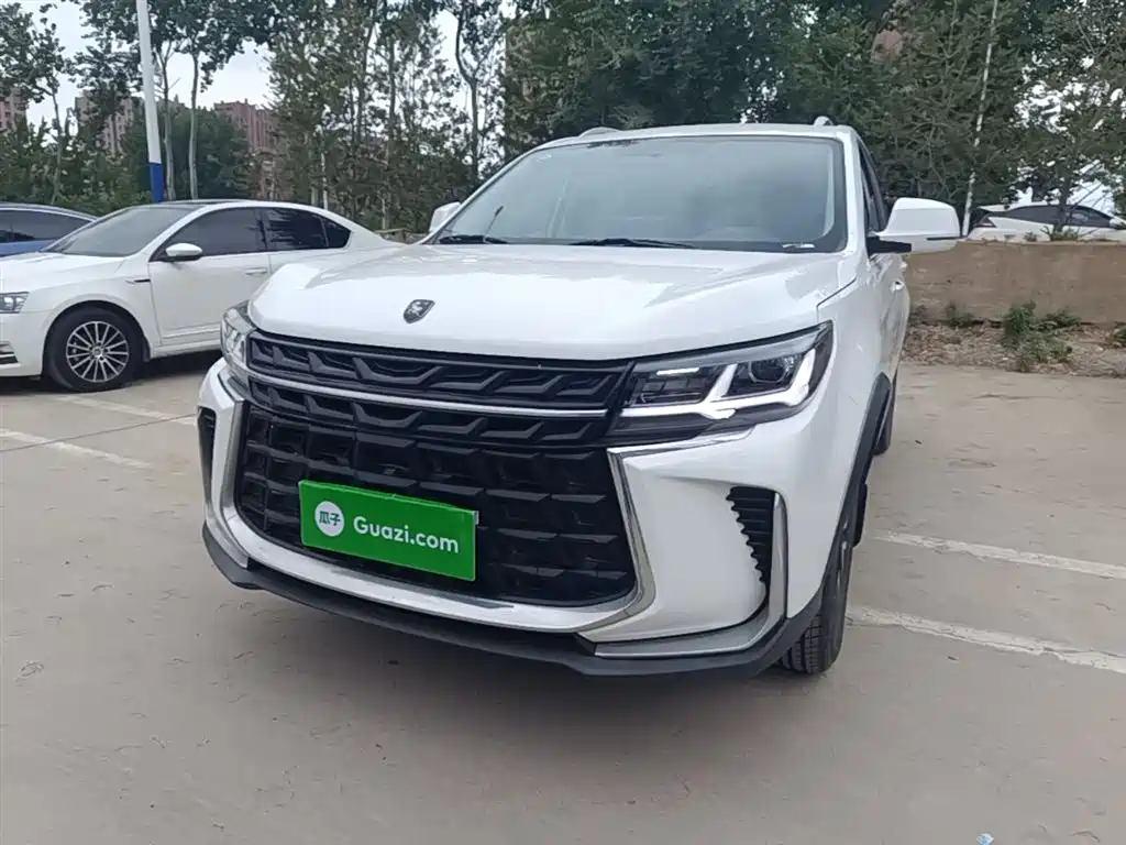 Dongfeng Fengxing T5 2023 Golden Age 1.6L Manual Dream Chaser 5-Seater