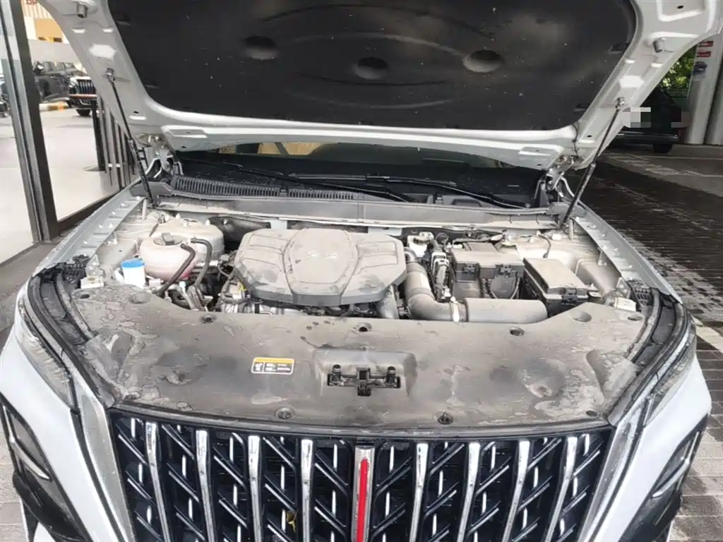 Hongqi HS5 2023 2.0T 4WD Flag Leader Pro фото 20