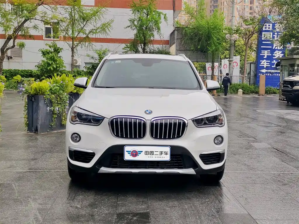 BMW X1 2019 xDrive20Li Premium Model фото 2
