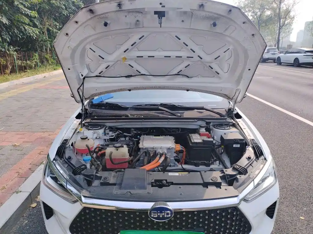 BYD e2 2020 2019 Long Range Yao·Luxury Model