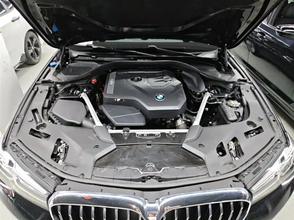 BMW 5 Series 2022 Model Second Facelift 525Li Luxury Package фото 16