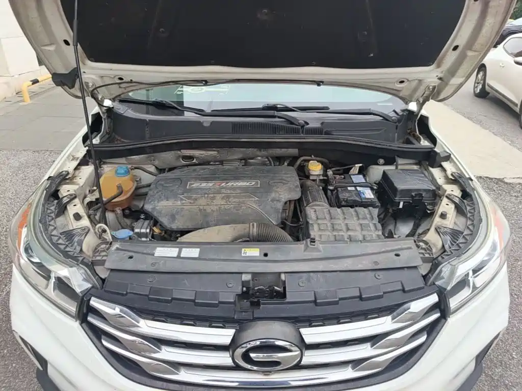 صورة 25 - GAC Trumpchi GS4