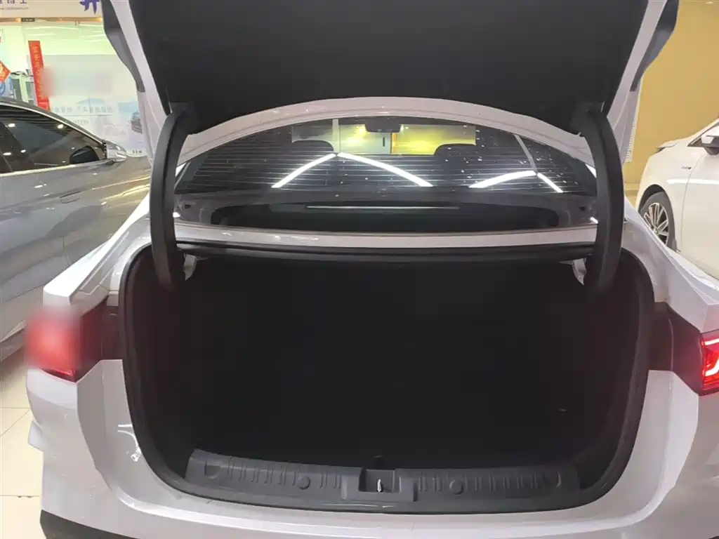 BYD Qin L 2024 DM-i 80KM Leading Edition фото 19