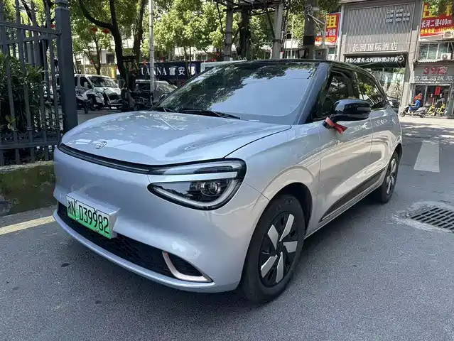 Dongfeng Yipai Nano 01 2024 330 Air