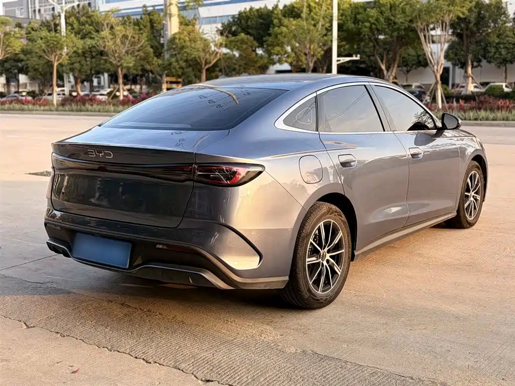 BYD Seal 06 New Energy 2024 DM-i 80KM Prestige фото 7