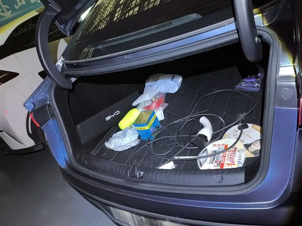BYD Seal 06 New Energy 2024 DM-i 80KM Prestige фото 19