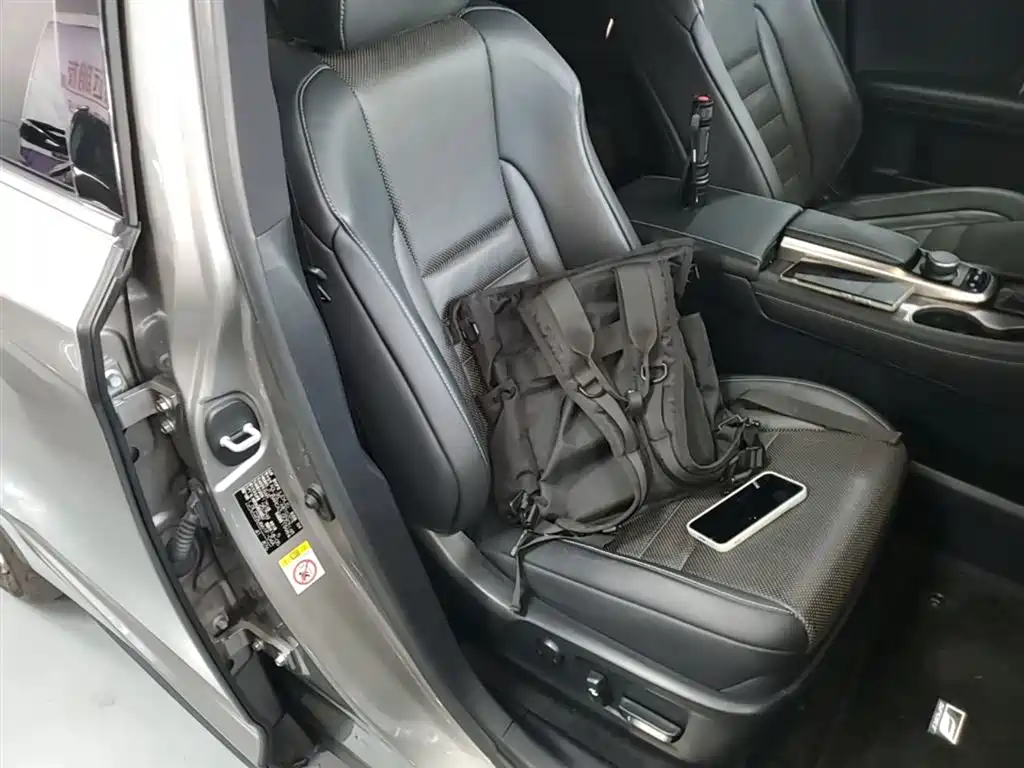 Lexus RX 2016 300 AWD F SPORT Edition China V фото 25