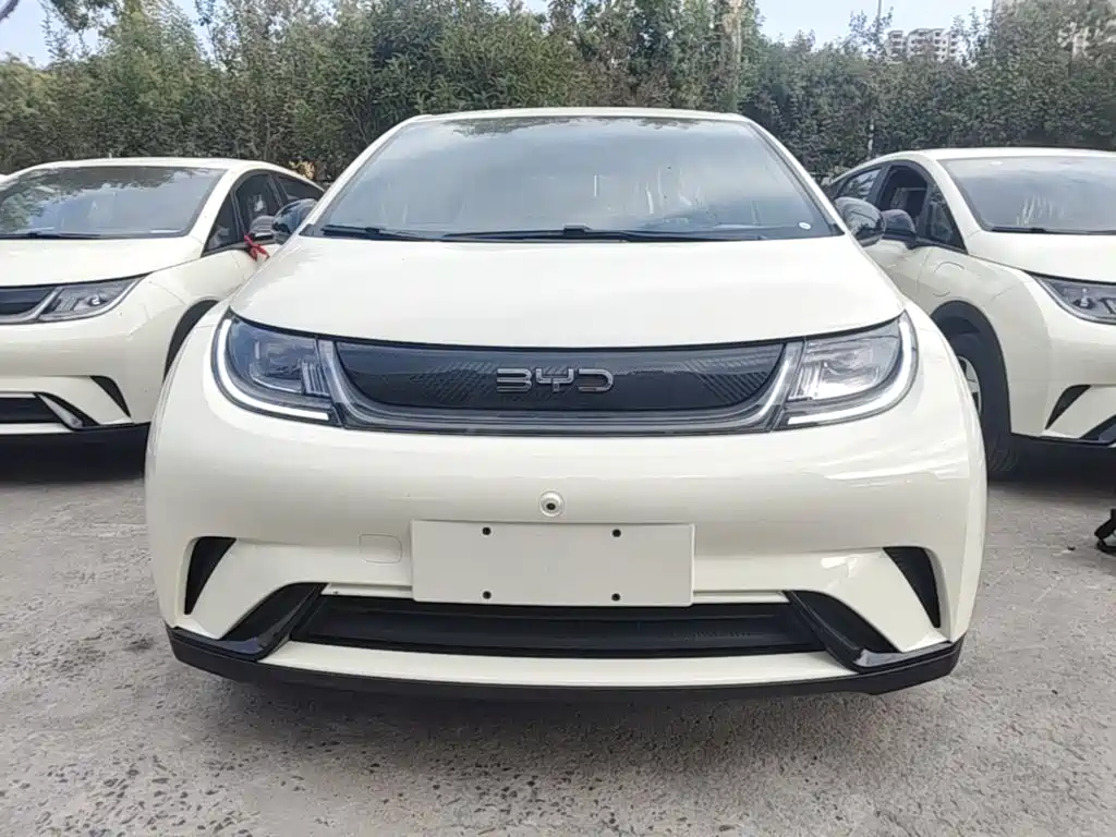 2026 BYD Dolphin