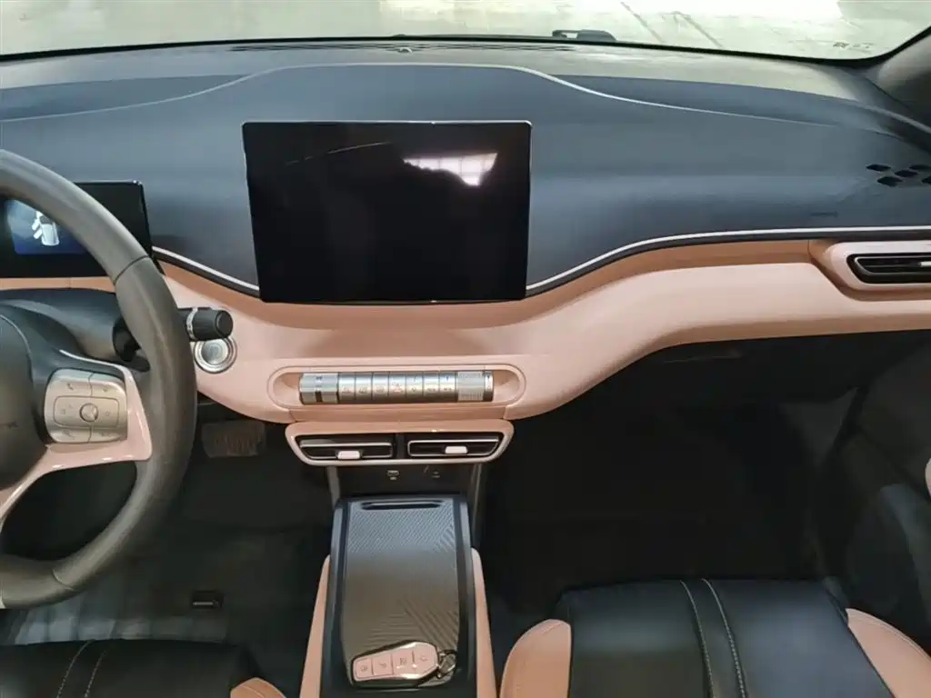 BYD Seagull 2023 Vitality Edition фото 13