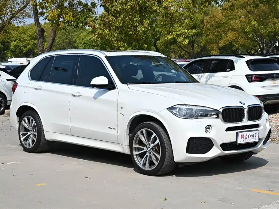 BMW X5 (Import) 2017 xDrive35i M Luxury Sport фото 6
