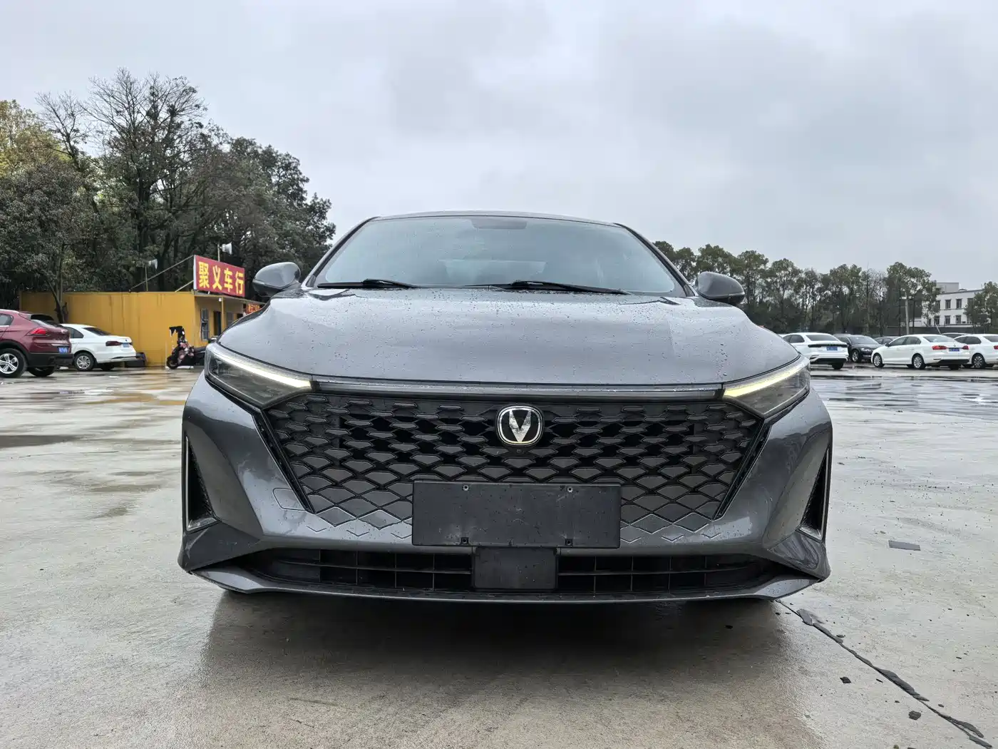 Changan Ruicheng PLUS 2022 2023 1.5T DCT Premium