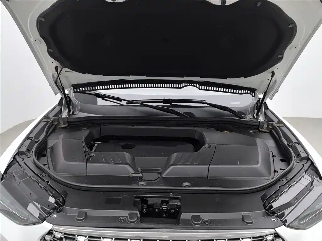 WEI PAI WEI BRAND VV6