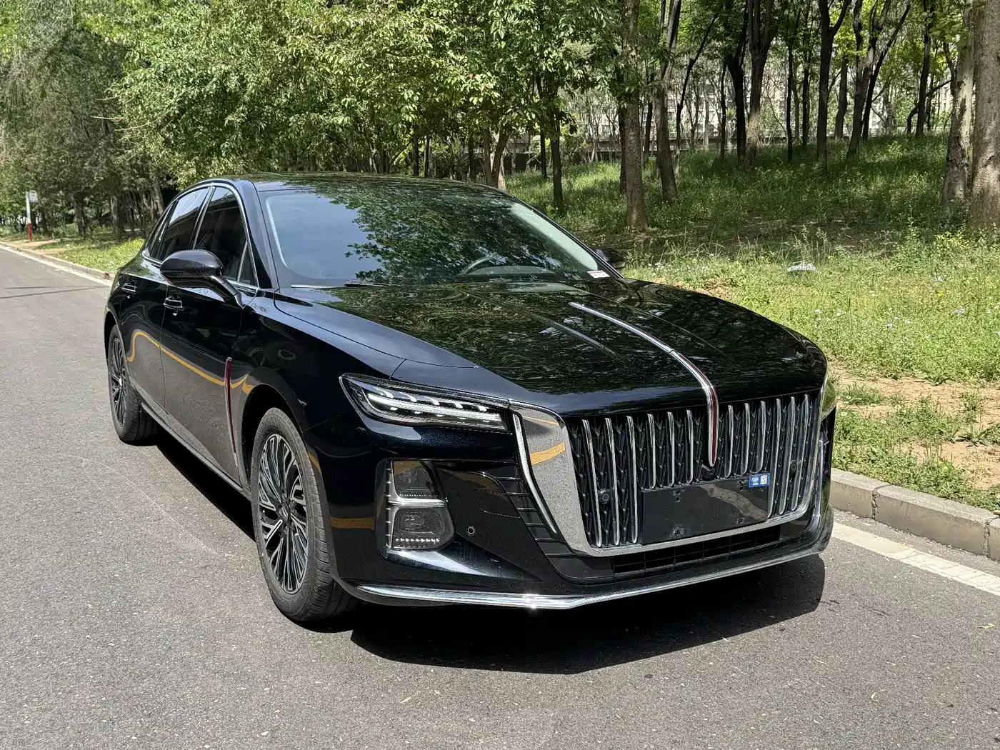 Hongqi H5 2024 2.0T Automatic Smart Connect Flag Smooth Edition фото 4