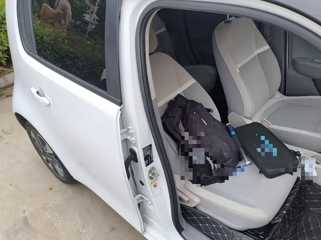 Ora White Cat 2021 2020 305km Luxury