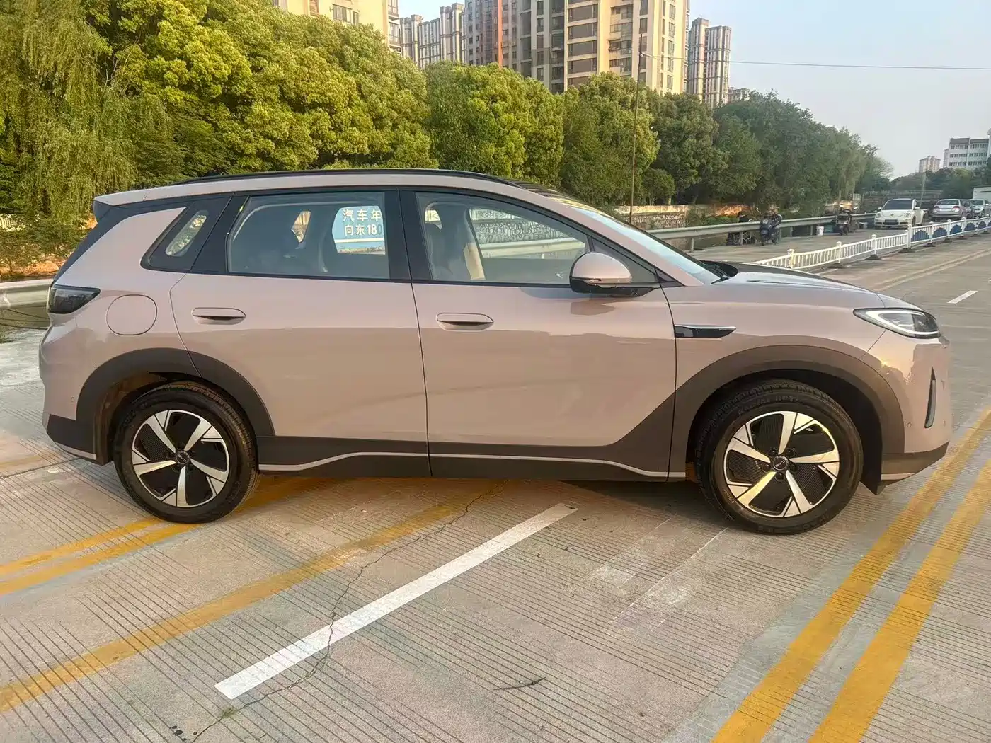 BYD Hai Shi 05 EV 2025 520KM Smart Navigation Edition фото 5