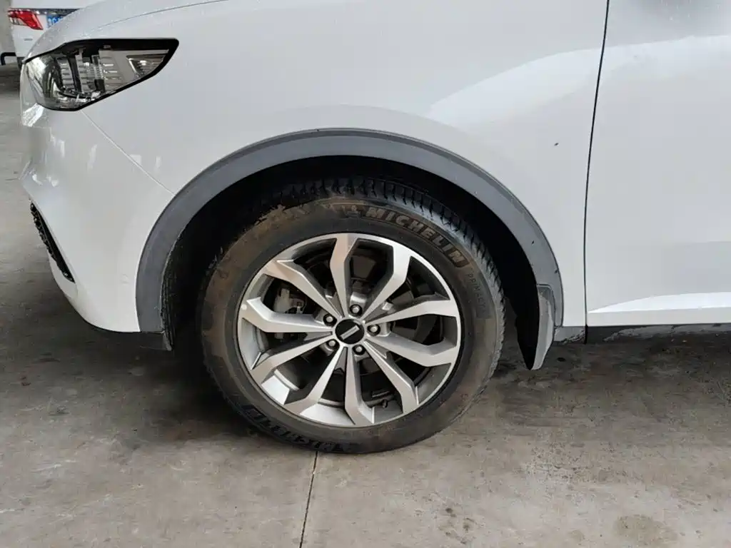 WEY VV6 2018 2018 2.0T 4WD Flagship China V