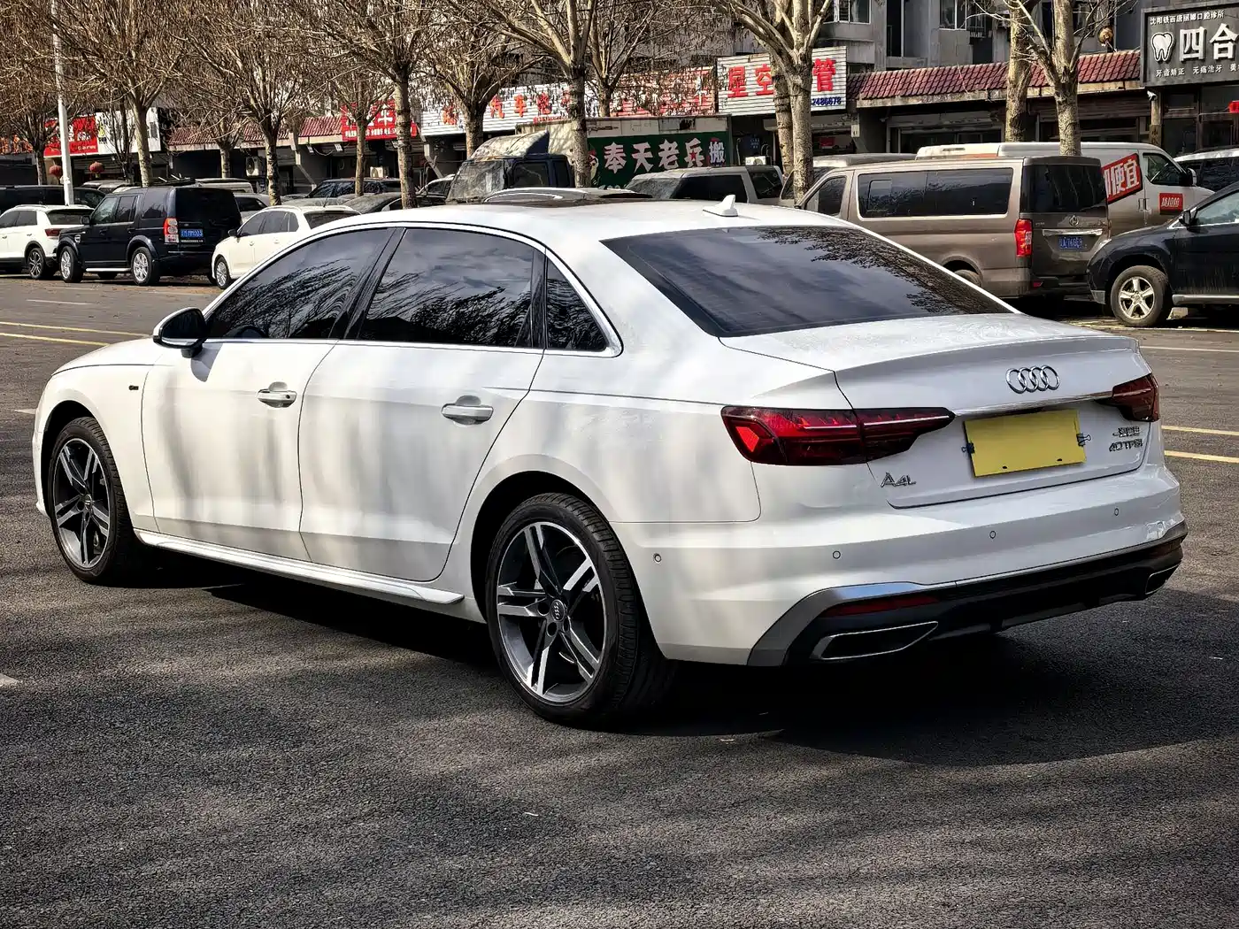 Audi A4L 2020 40 TFSI Luxury Dynamic фото 11