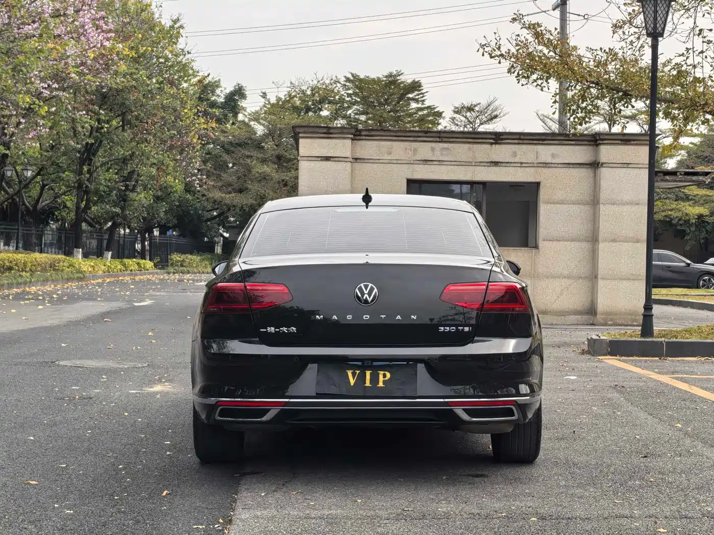 Volkswagen Magotan 2020 330TSI DSG Luxury фото 6