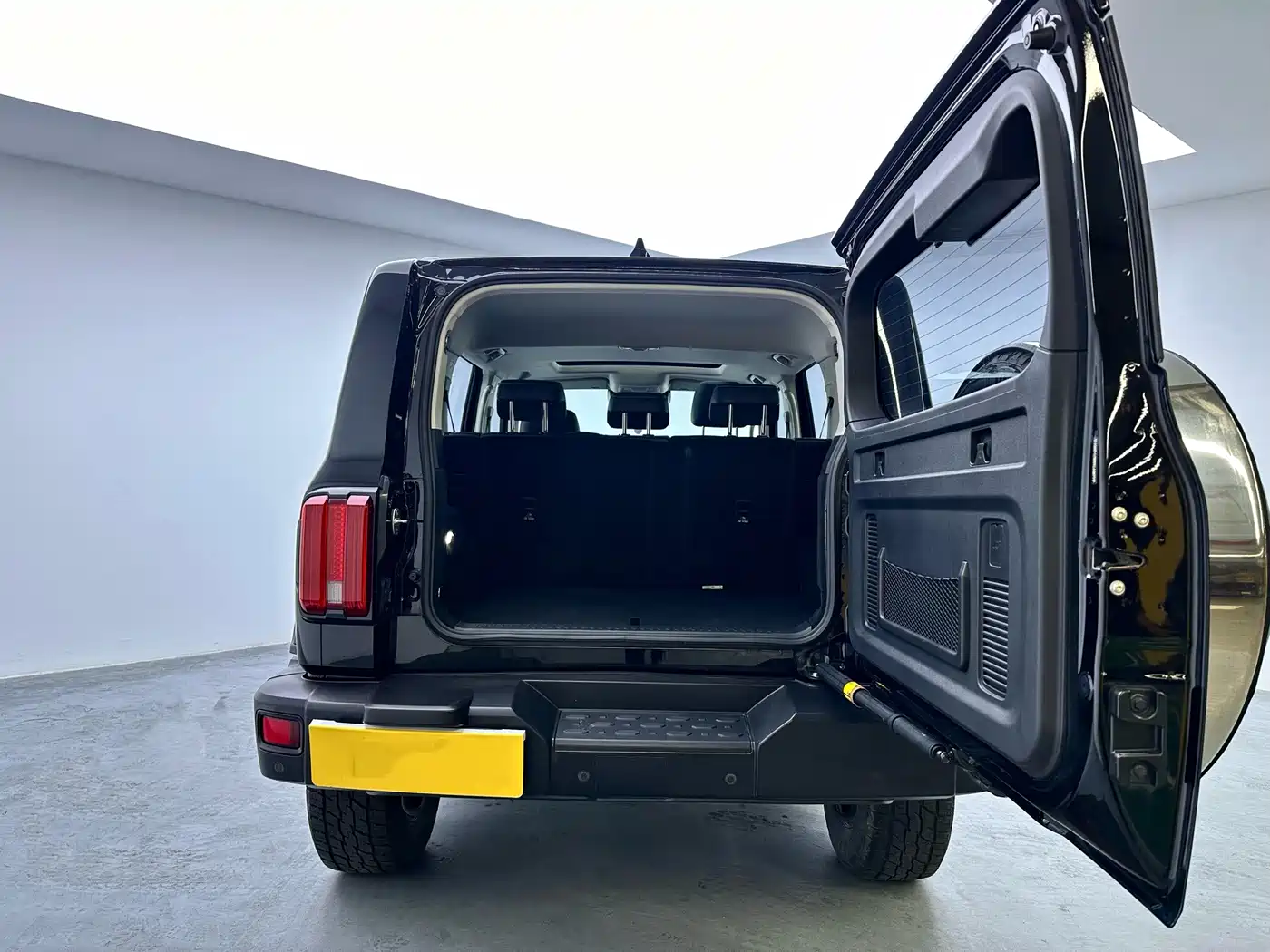 Tank 300 2021 2021 Off-road Version 2.0T Conqueror
