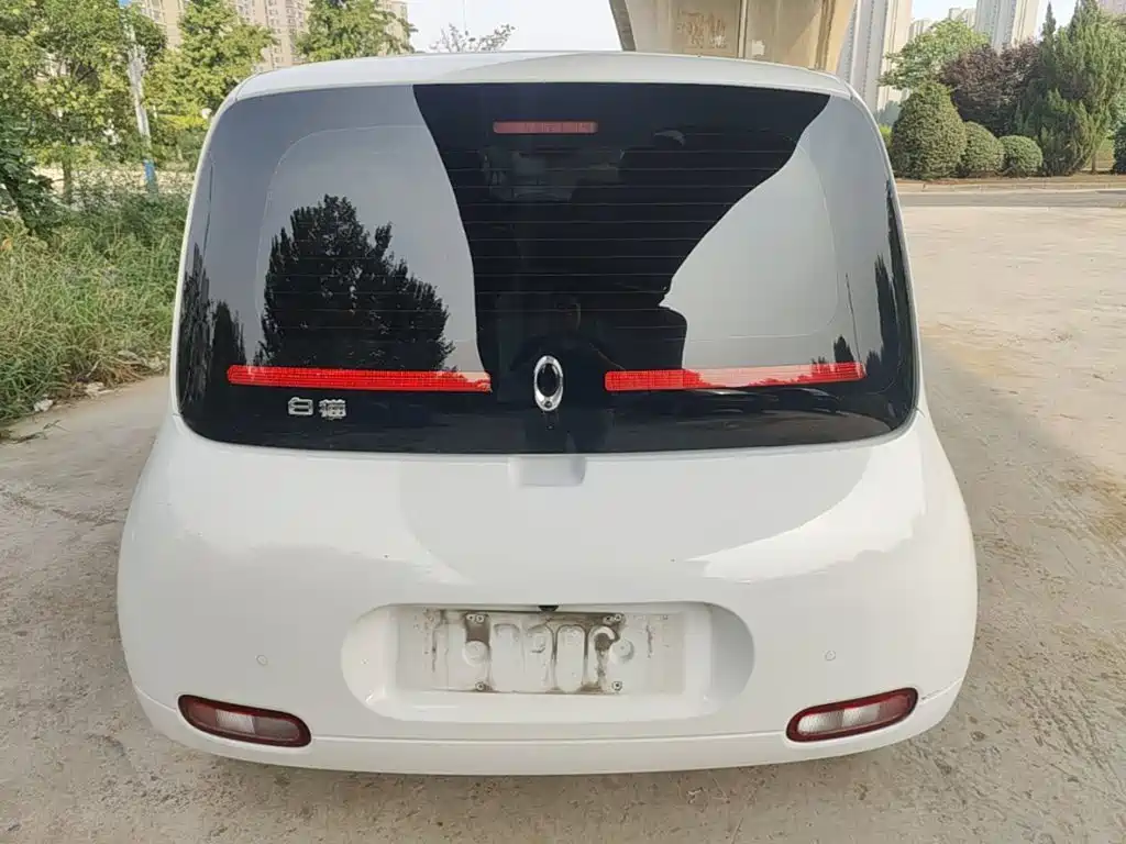 Ora White Cat 2020 2020 360km Luxury Model