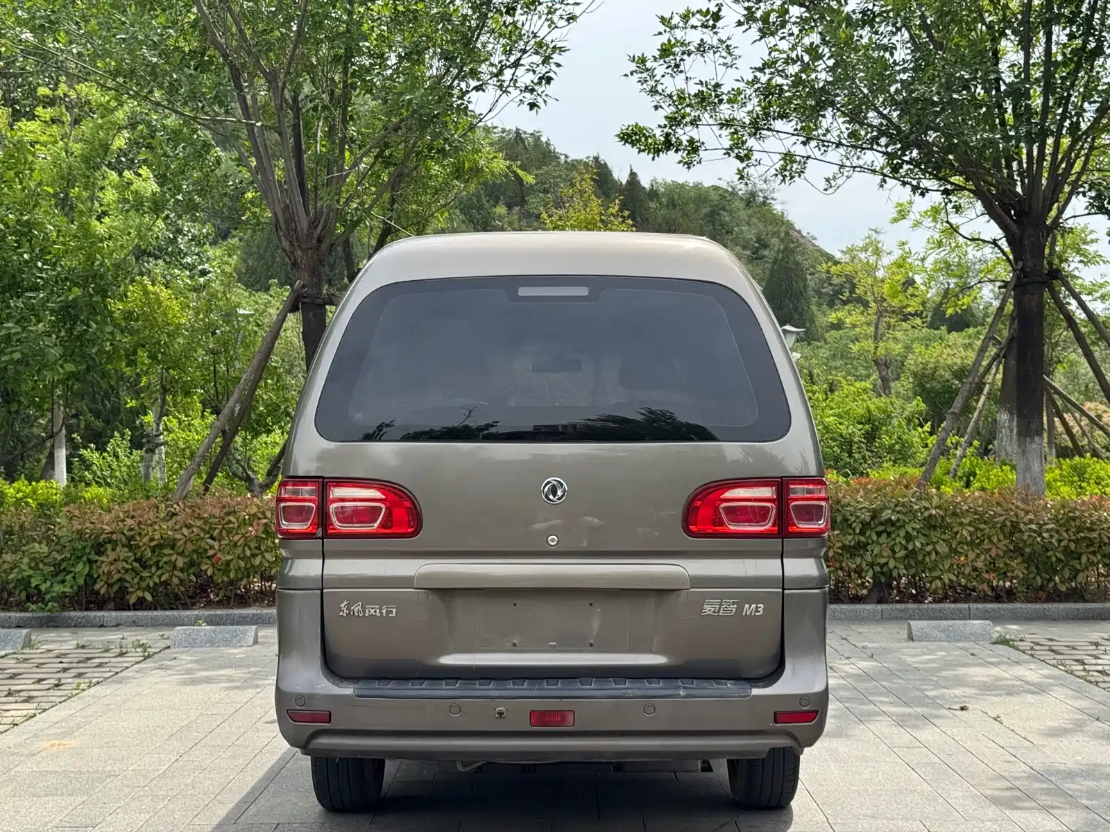 صورة 9 - Dongfeng Fengxing Lingzhi