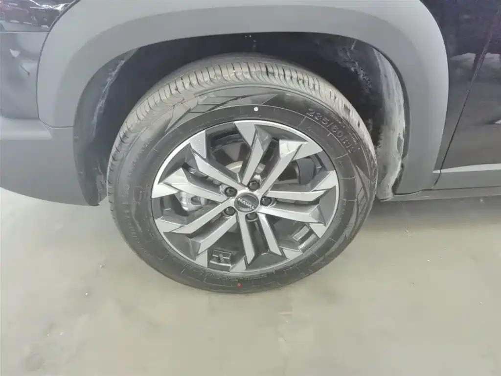 Haval Big Dog 2026 2.0T Standard фото 23