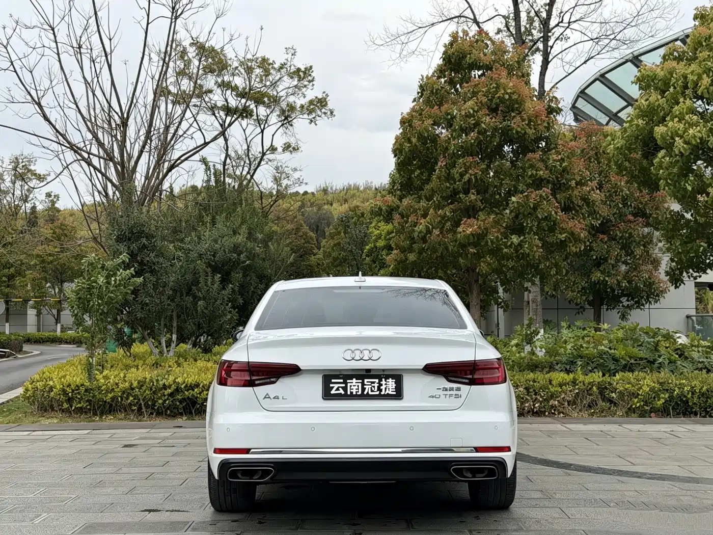 Audi A4L 2019 40 TFSI Progressive (China V) фото 6