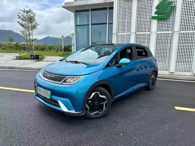BYD Dolphin 420km, Стиль