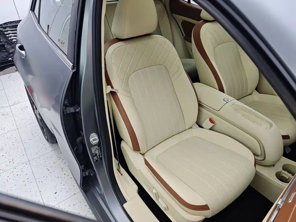 Ora Good Cat 2025 2025 430km Honor Edition
