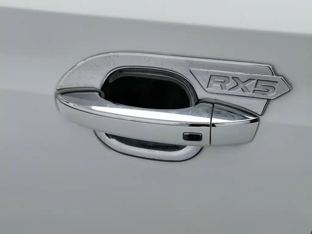 Фото 18 - Roewe RX5