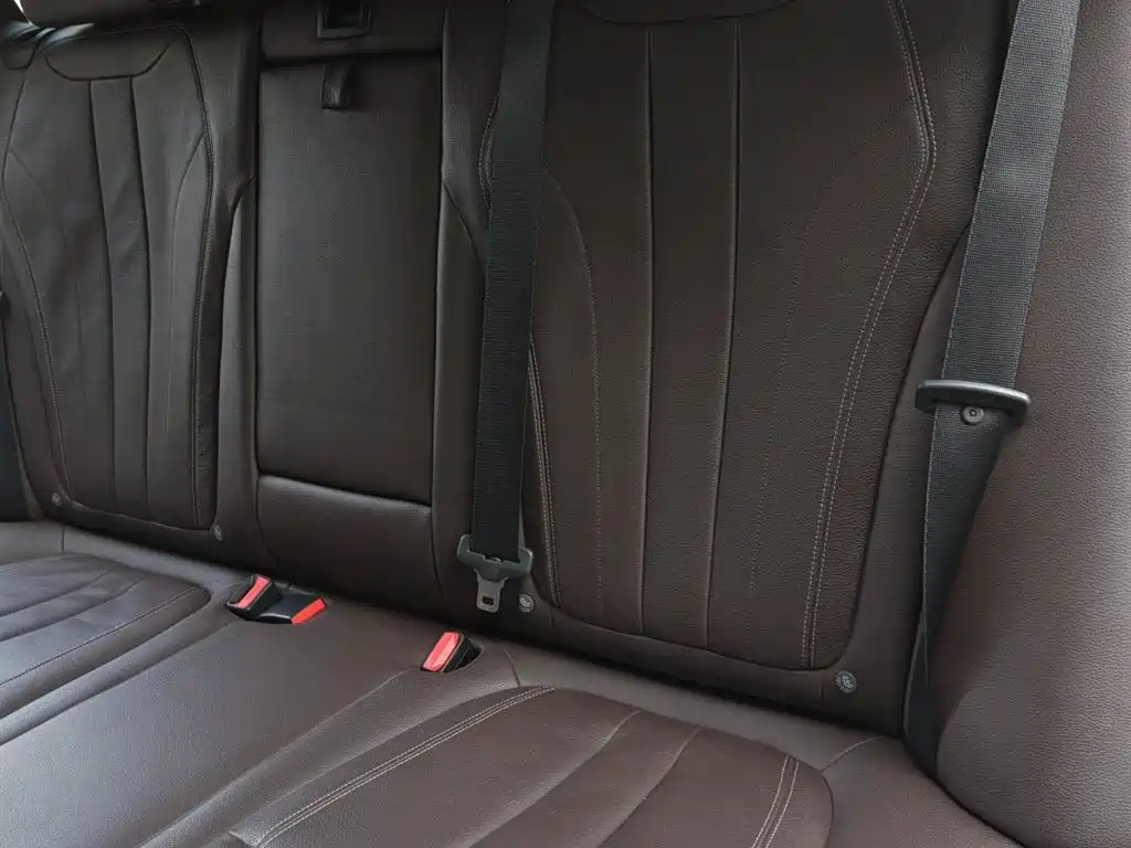 BMW X5 (Import) 2017 xDrive35i M Luxury Sport фото 22