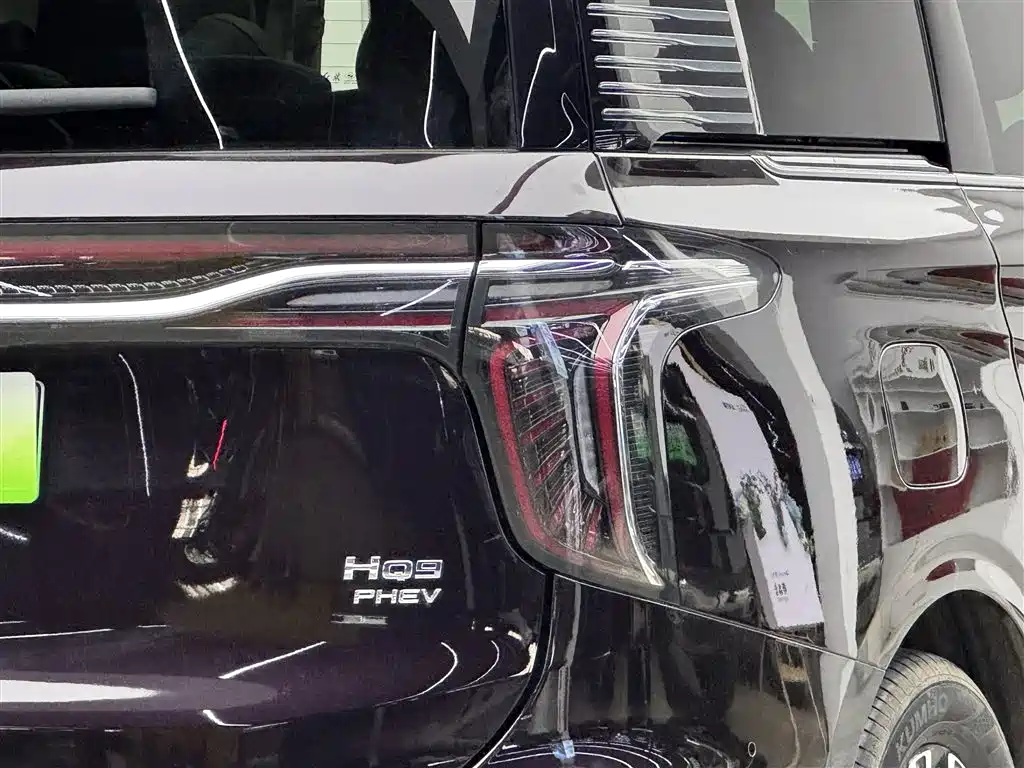 Hongqi HQ9 PHEV 2024 Model 2.0T AWD Luxury Edition фото 19