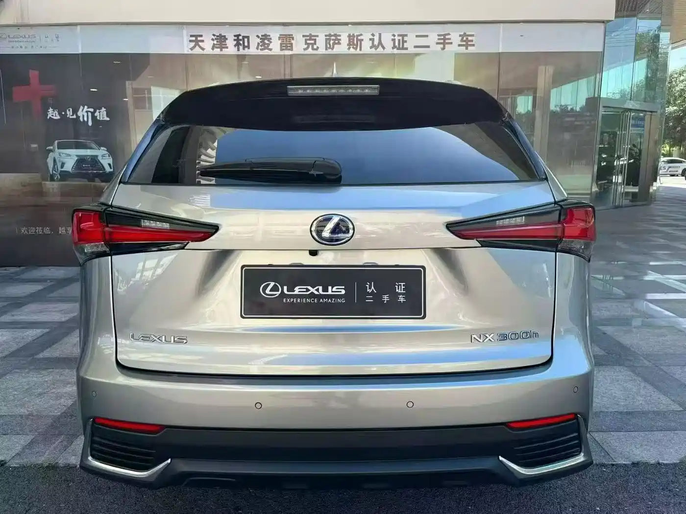 Lexus NX 2018 Model 300h FWD Fengshang Edition China V фото 5