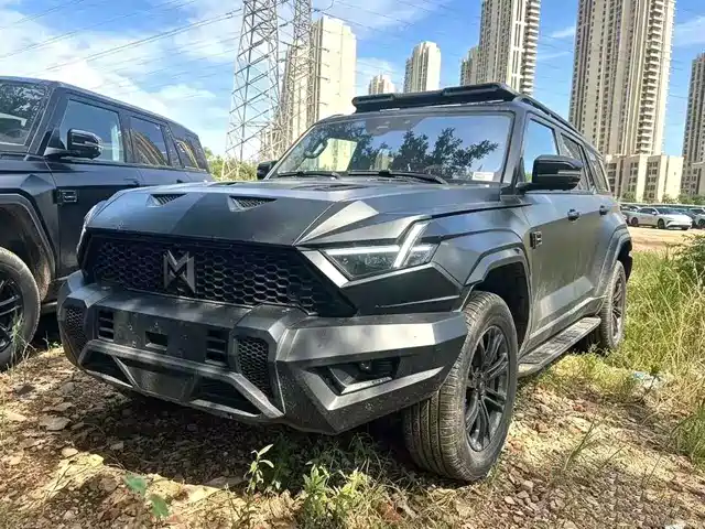 Mengshi 917 Электромобиль, Дебютная серия