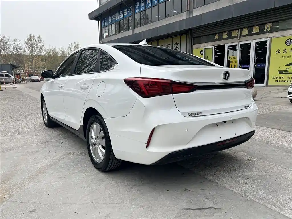 CHANGAN YIDONG NEW ENERGY