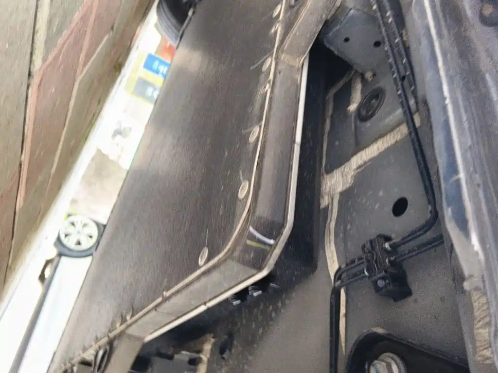 BYD Dolphin 2026 2025 Smart Drive Edition 420km Freedom Version