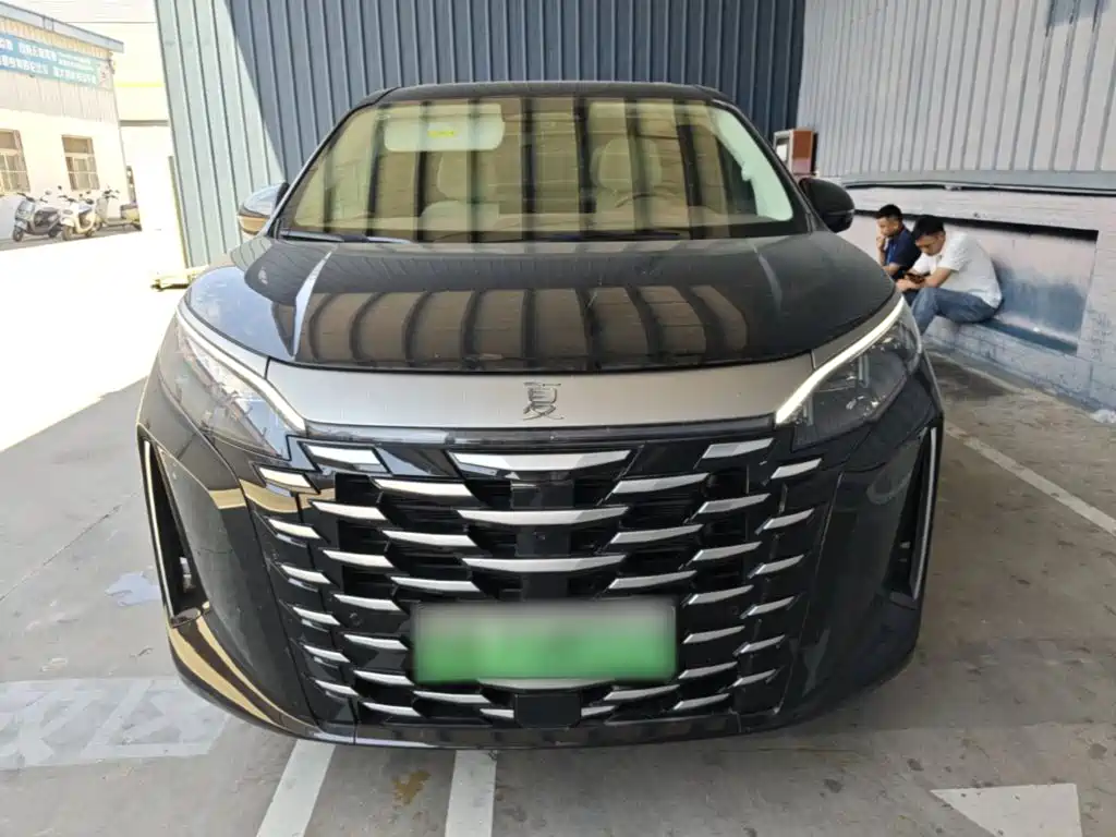 2025 BYD Xia