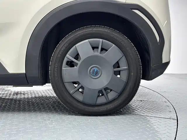 BYD Seagull 2026 2025 305km Vitality