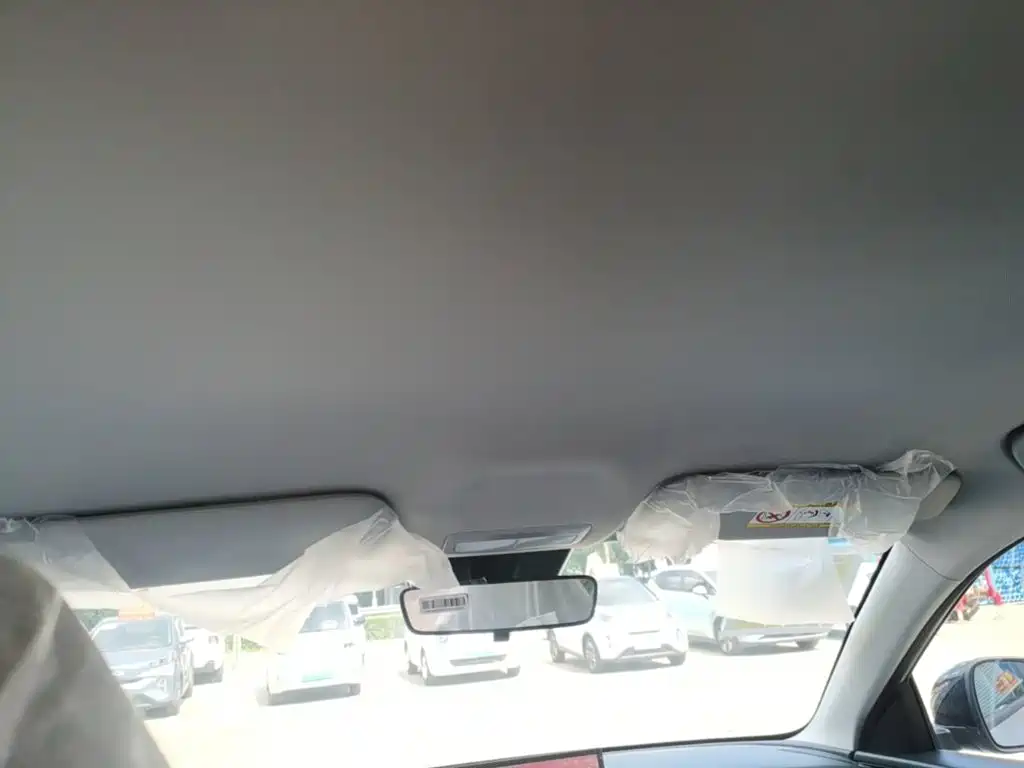 Geely Galaxy Starry Wish 2026 2026 Model 310km Dream Edition
