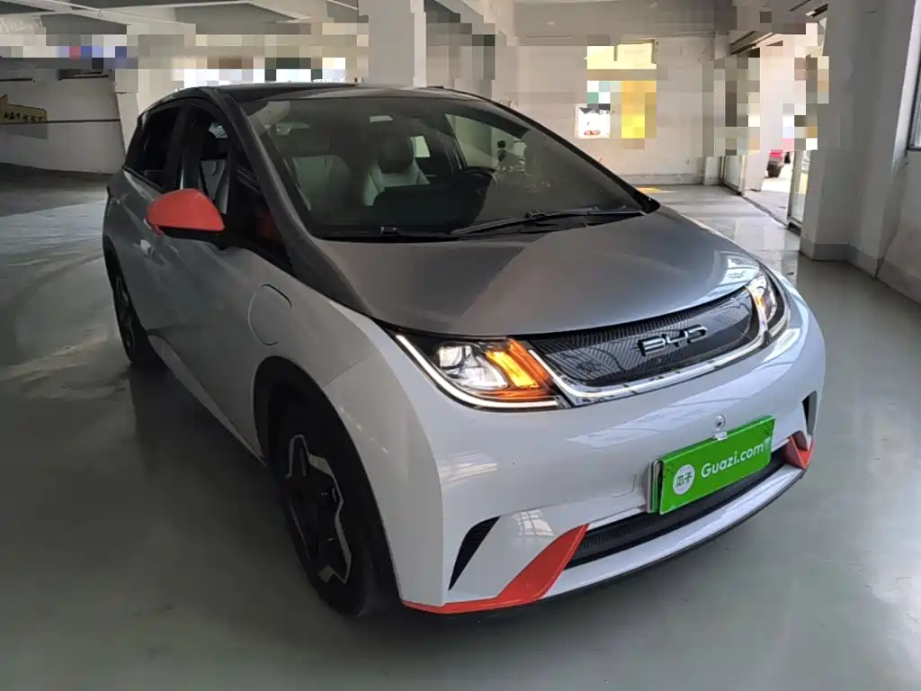 BYD Dolphin 2021 2021 Model 405km Fashion Edition