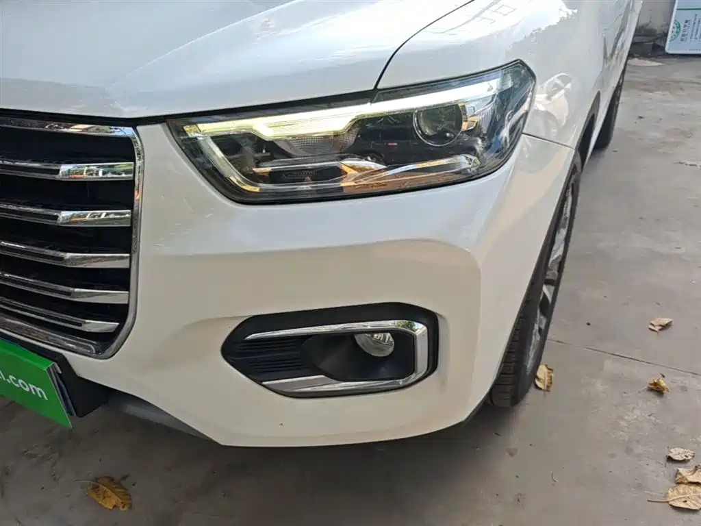 Haval H6 2020 1.5GDIT Automatic Platinum Champion Edition фото 24