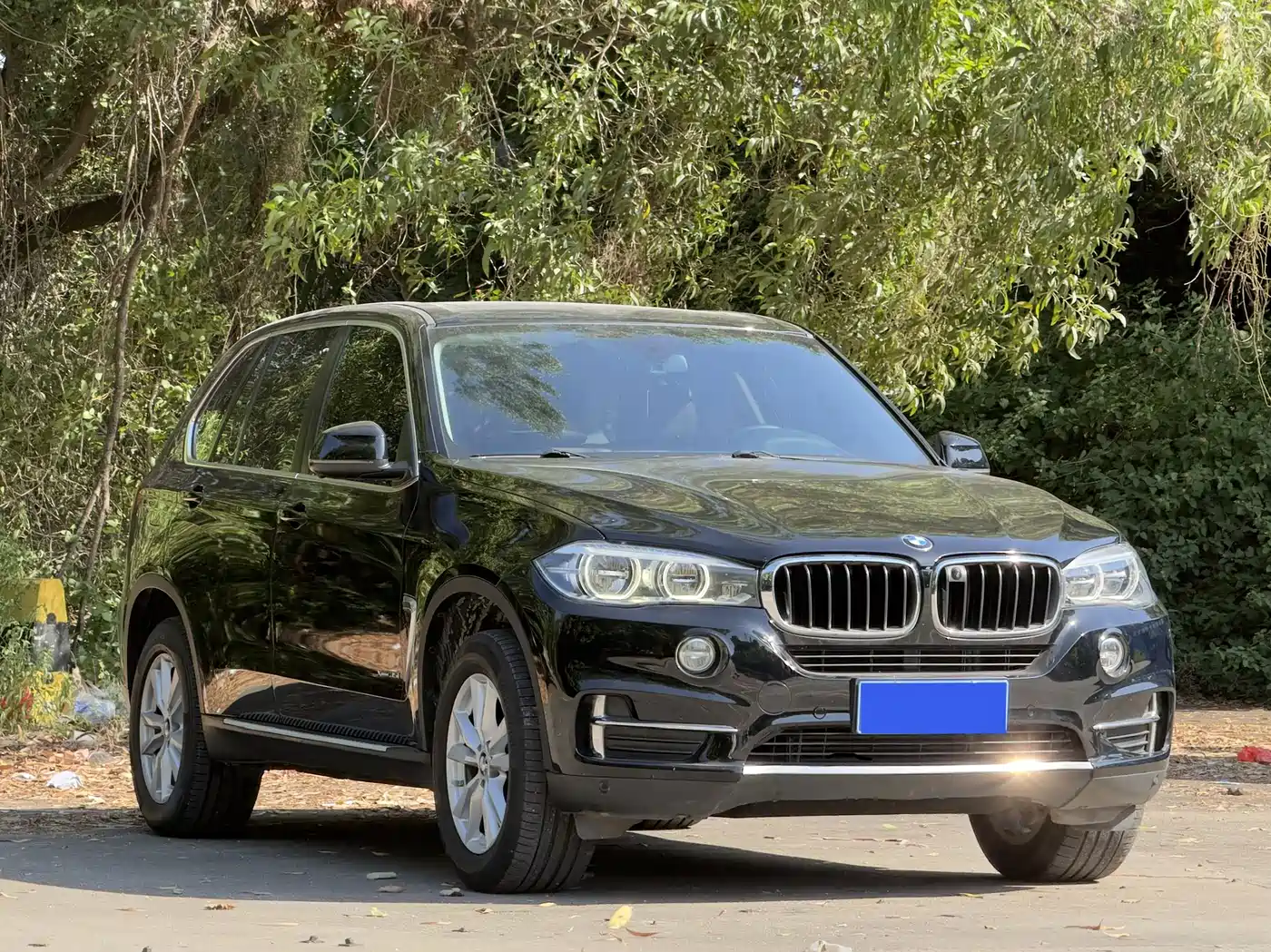 BMW X5 (Import) 2017 xDrive35i Leading Edition фото 3