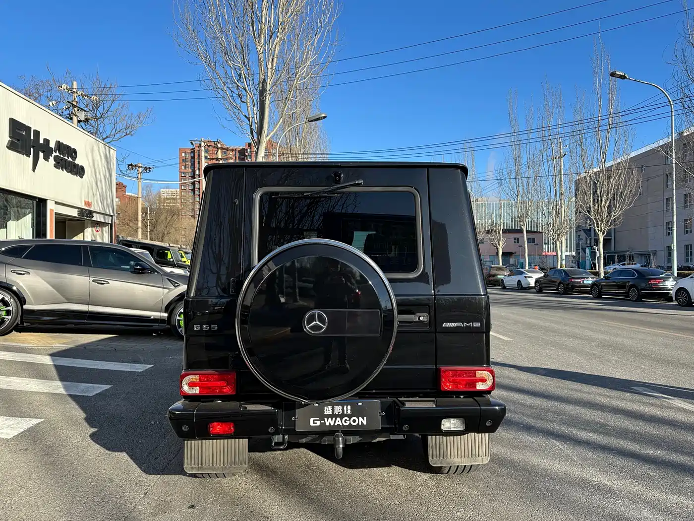 Mercedes-Benz G-Class AMG 2009 AMG G 55 фото 5