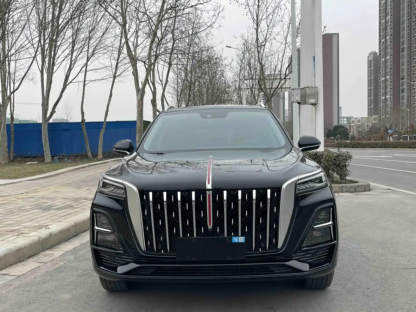 Hongqi HS5 2023 2.0T Flag Enjoy Pro Edition фото 3