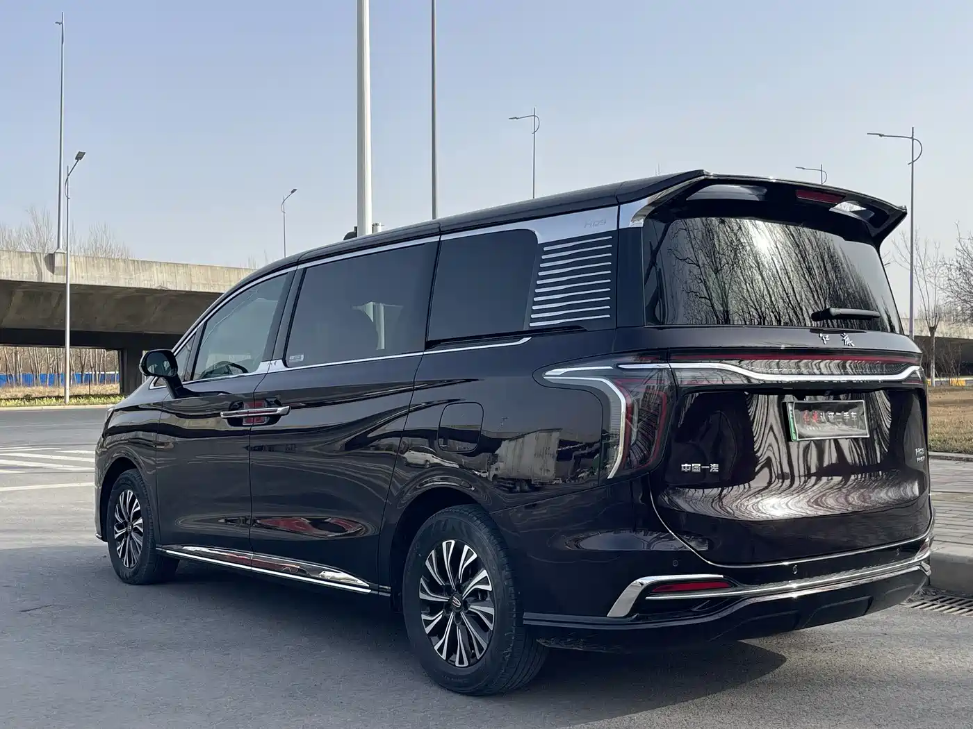 Hongqi HQ9 PHEV 2024 Model 2.0T AWD Luxury Edition фото 23