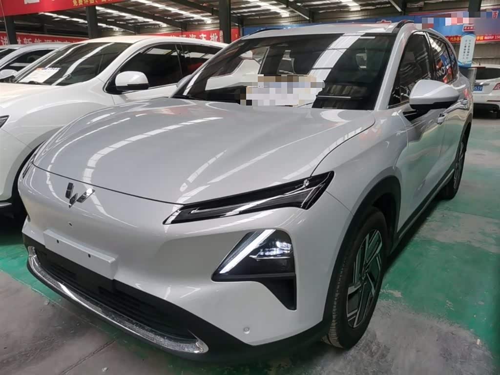 Wuling Motors Wuling Xingguang S